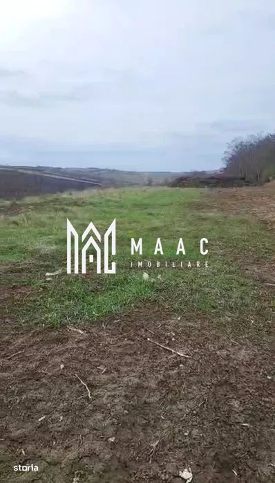 Teren Intravilan | 3.700 mp | Sura MAre