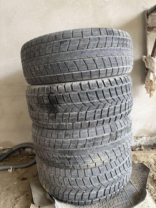 Покрыкашка зимний