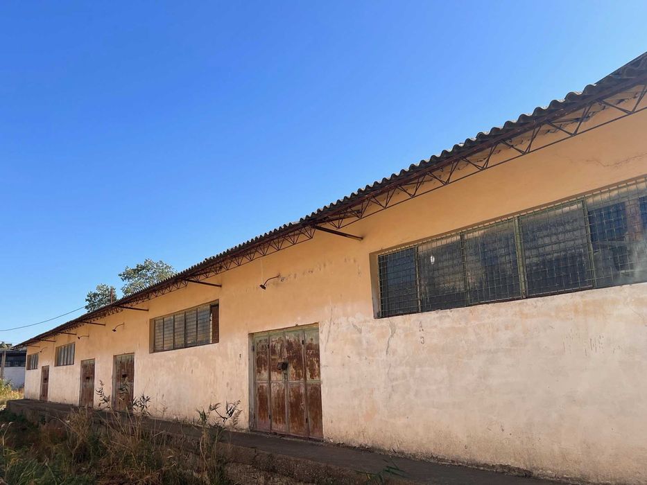 Vand Hala Calea Prutului 564 mp