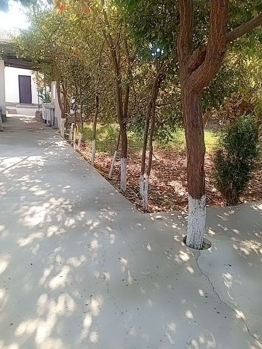 SURXONDARYOI Qumqo'rg'on tumani