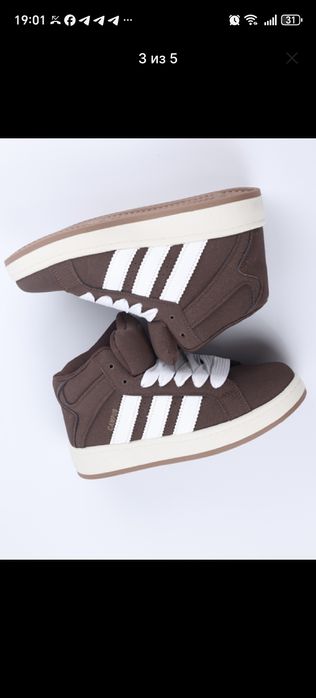 Кампусы высокие. Сезон :Осень - Зима