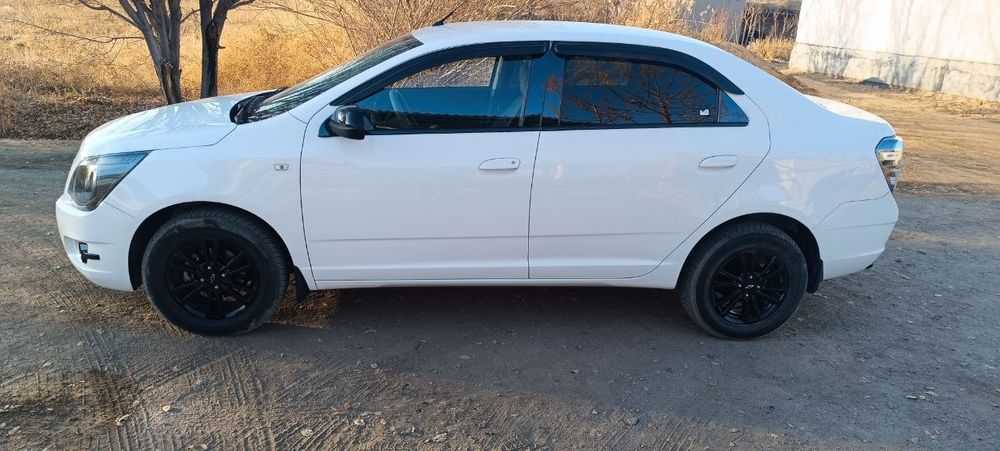 Кобллт миднайт жылы 2025 фулл хамме зат салинган