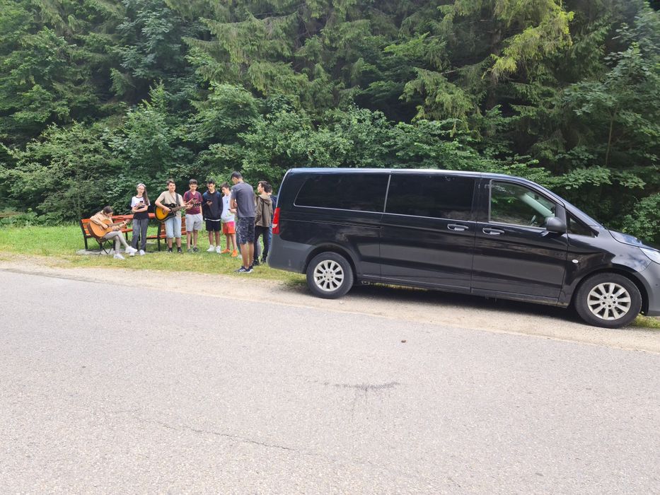 Mercedes Vito 15500 euro Fix Extralung automat 163 CP 9 locuri