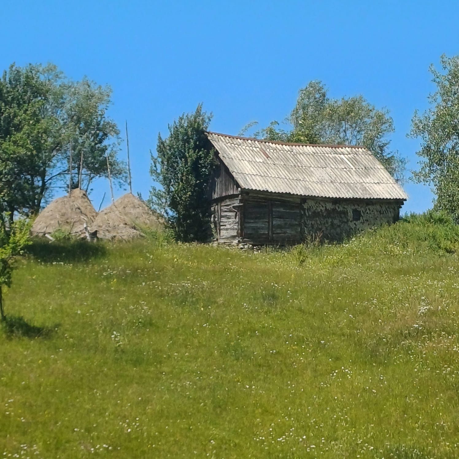 Teren intravilan