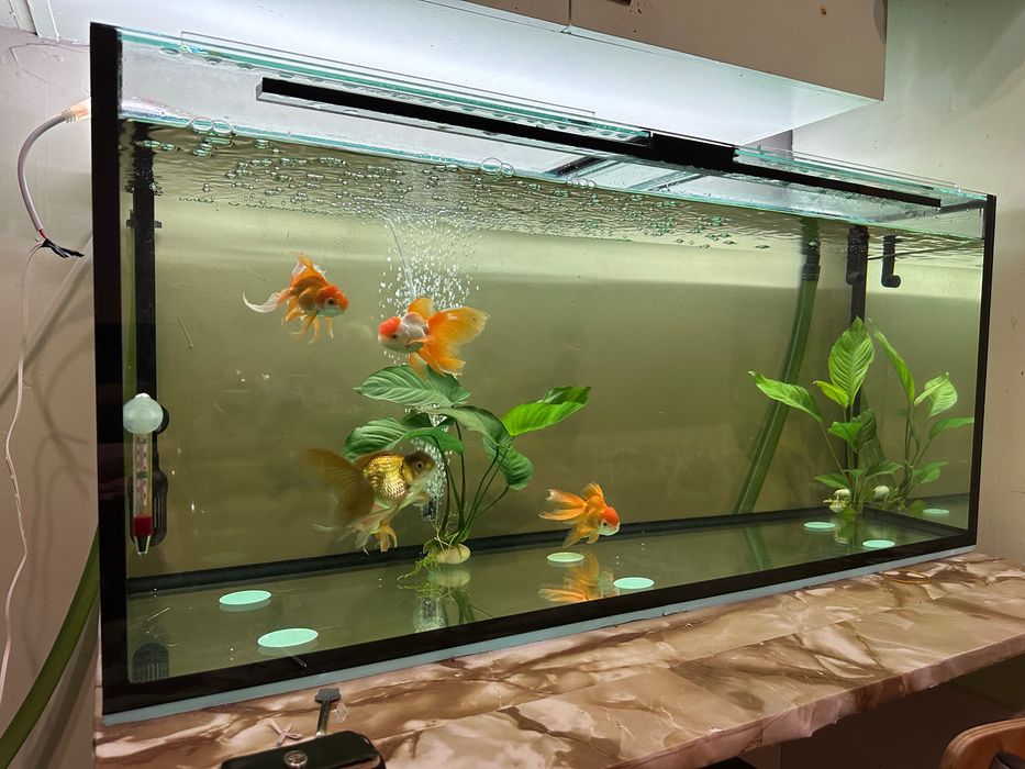 Аквариум 160 литра