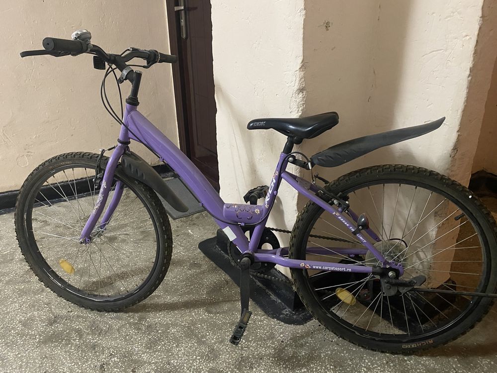 Bicicleta Carpat Rich pentru copii