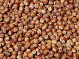 Alune de padure in coaja - Brasov