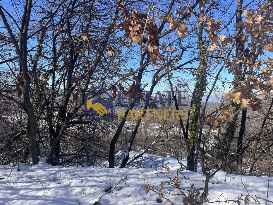 Продава се Парцел в с. Храбрино, Област Пловдив - 2094 кв.м за 12 €/кв.м - Снимка #4