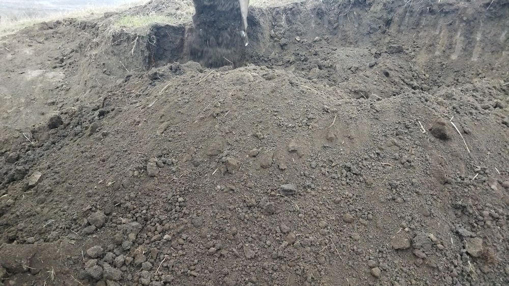 Pământ negru vegetal de livada!! Transport inclus !