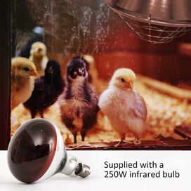 Нагревателна лампа за домашни птици - пилета инфрачервена крушка 250 W