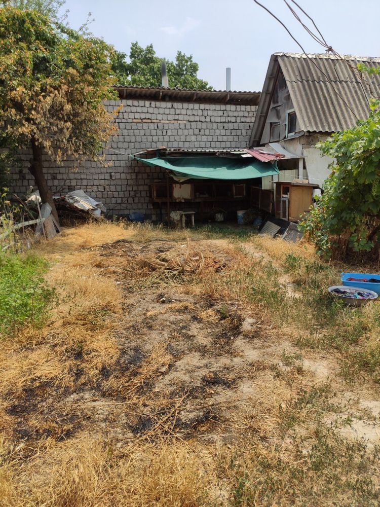 Земля в Янгиюле
