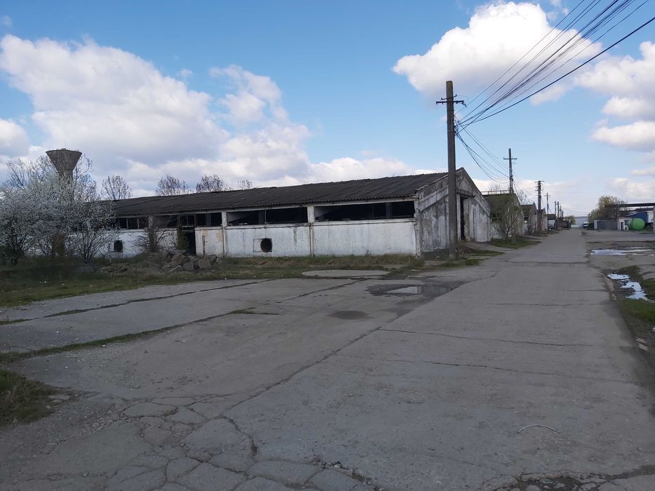 Teren intravilan 13400 mp autostrada A1 cu 4 hale dezafectate