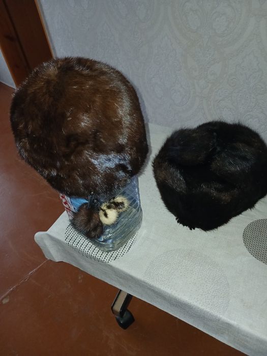 Продам шапки,женскую и мужкую