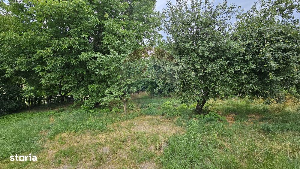 Teren intravilan 2,036mp Pădureni-Șendriceni, Botoșani