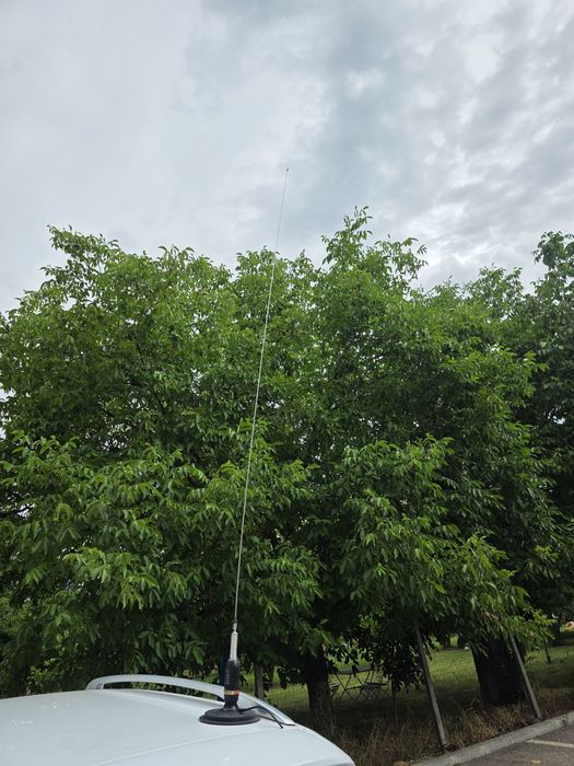 Antena cb Avanti regale plus