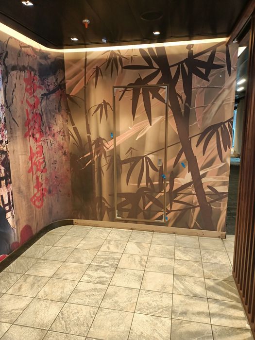 Montaj tapet si fototapet