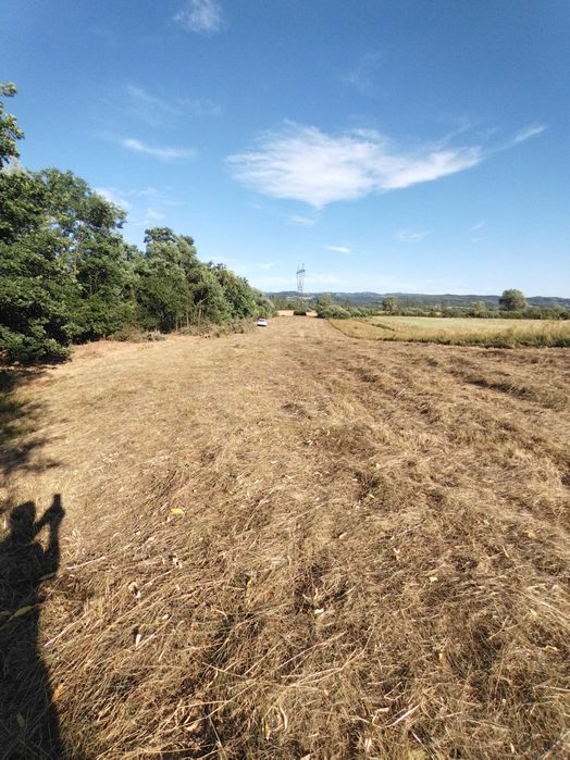 Teren extravilan 32 ari Culcea