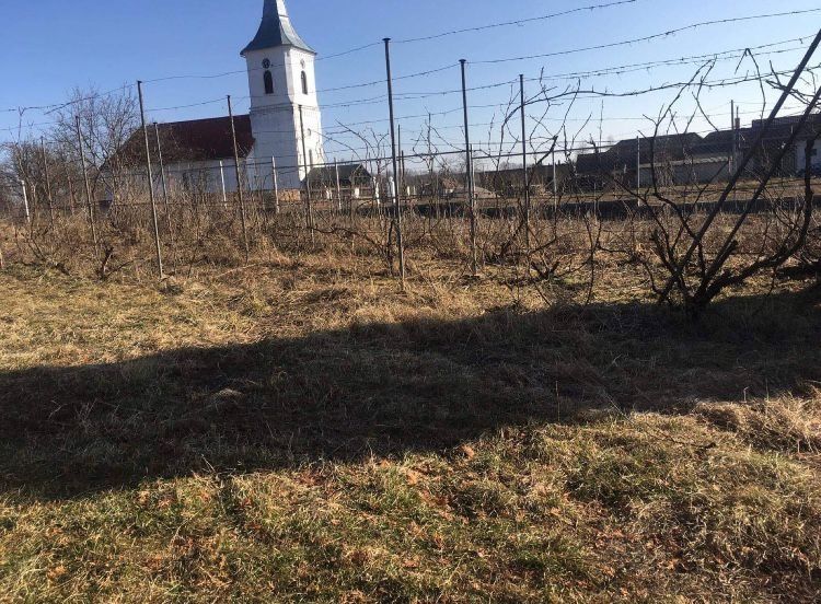 Casa de vânzare cu curte