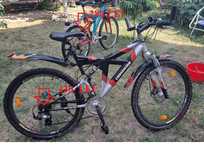 bicicleta adulti