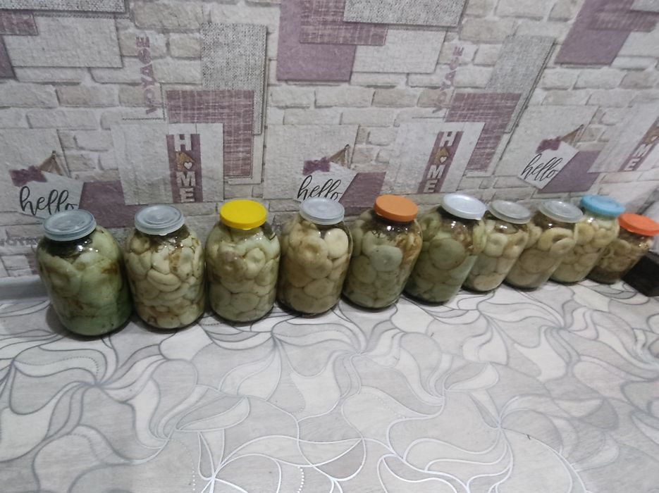 Продам грибы грузди