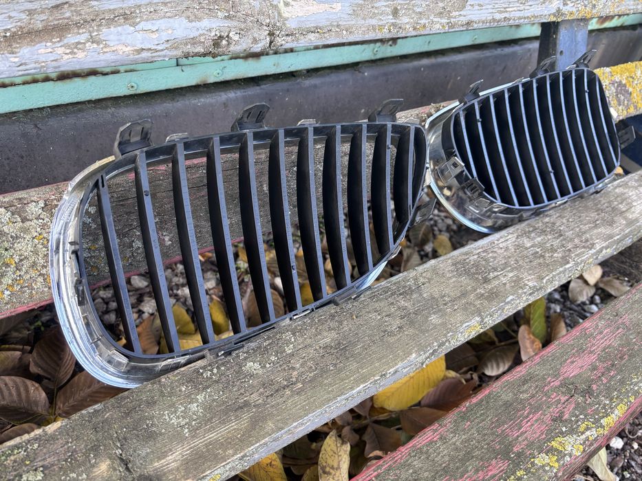 Оригинални бъбреци БМВ Е60