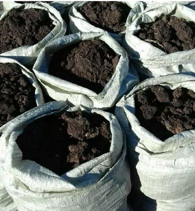 Продам  чистый  конский навоз