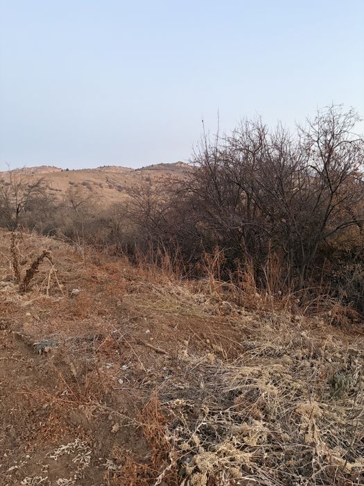 Продаеться земля в Амирсай 12 соток 2 кадастра по 6 соток