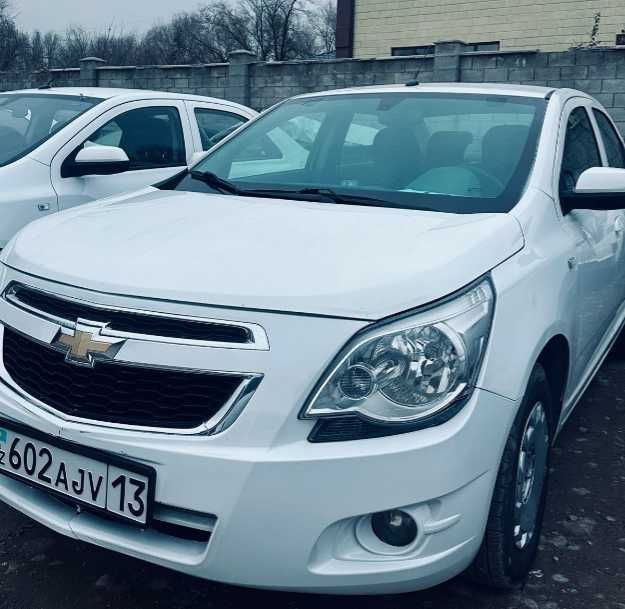 кобальты под выкуп 12.000 в день