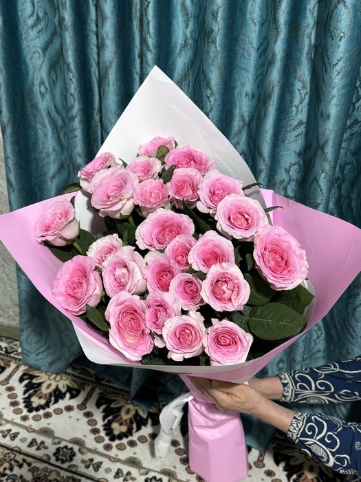 Цветы роза 25 штук