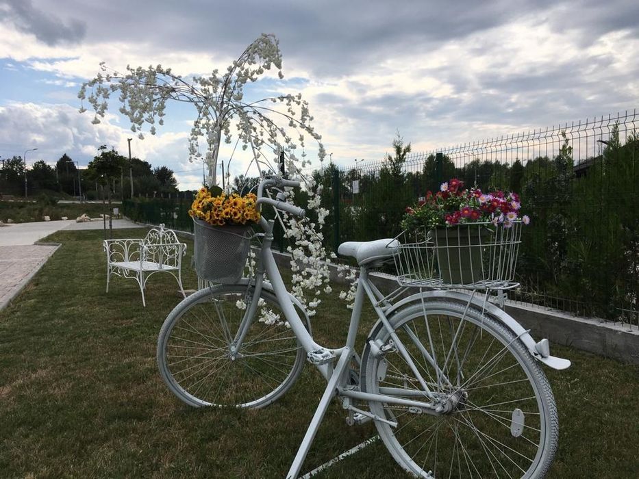 Cort profesional pentru  eveniment