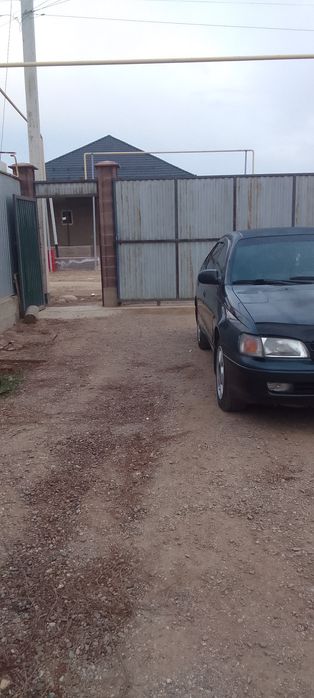 Асалаумагаликум  тез арада сатлады