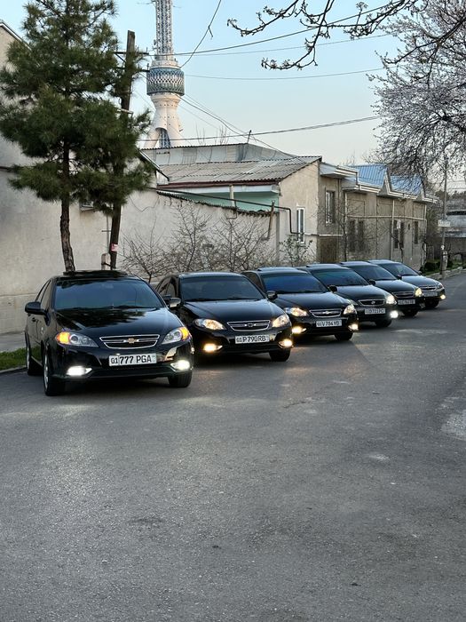 Qora jentrala bor 18-dan 22-yilgacha Narxlari arzon