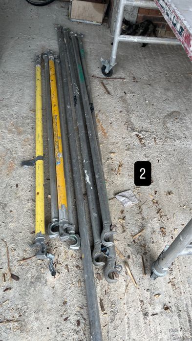 Скелета от Холандия