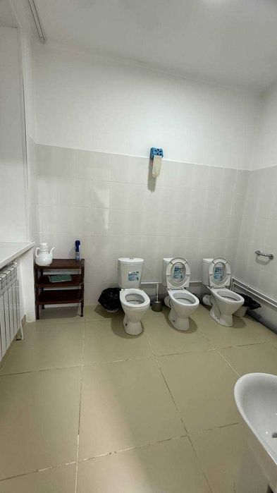 Сдается отдельно стоящее здание.