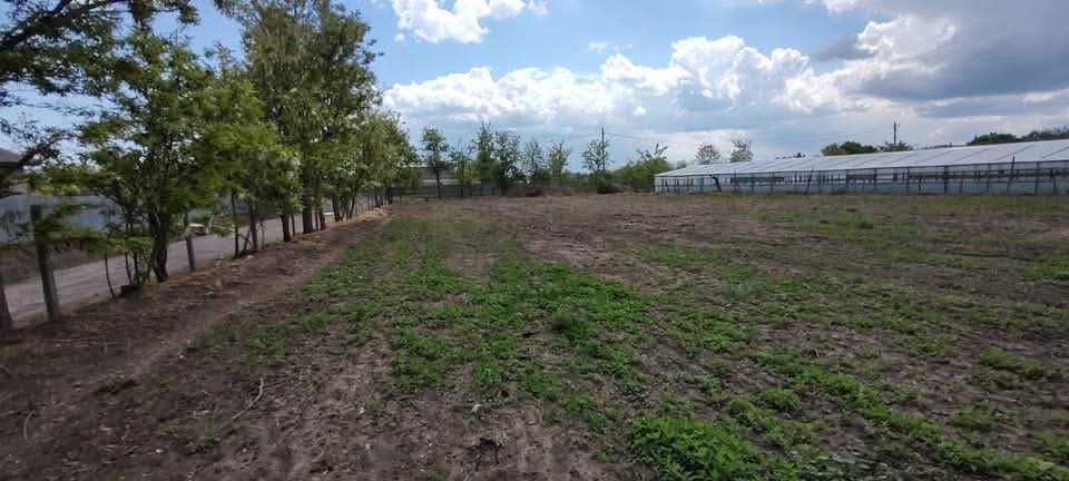 Teren intravilan 1600 mp central Sabangia - Tulcea