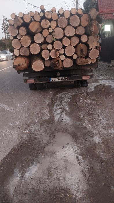 Lemn de foc esență tare debitat la cerere