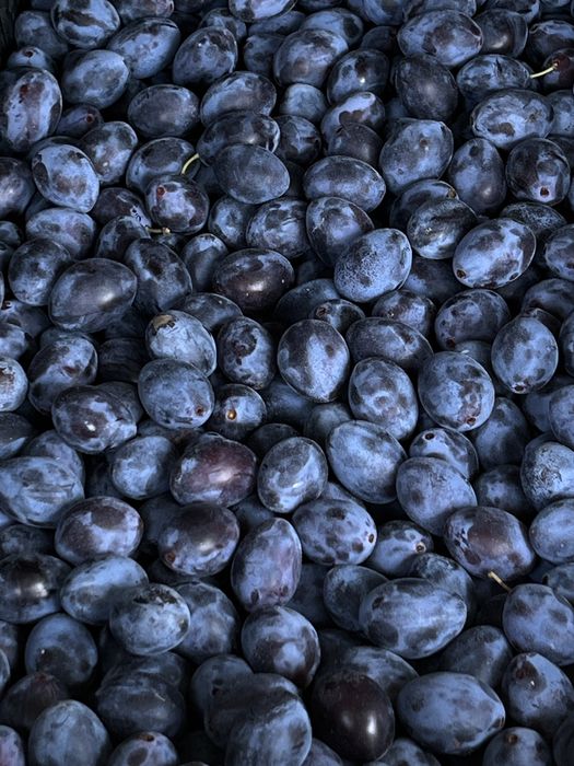 Silvoiță / magiun de prune bistritene 100% natural - reteta bunicilor