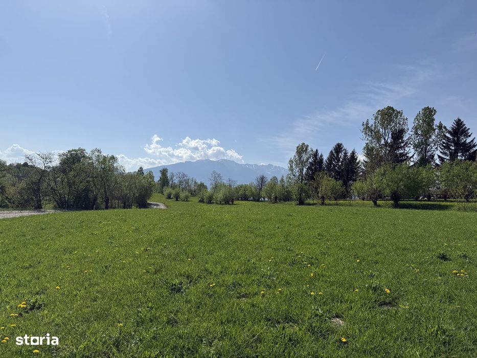 Teren intravilan zona Bran-Tohanita,judetul Brasov intre 500 si 1000 m