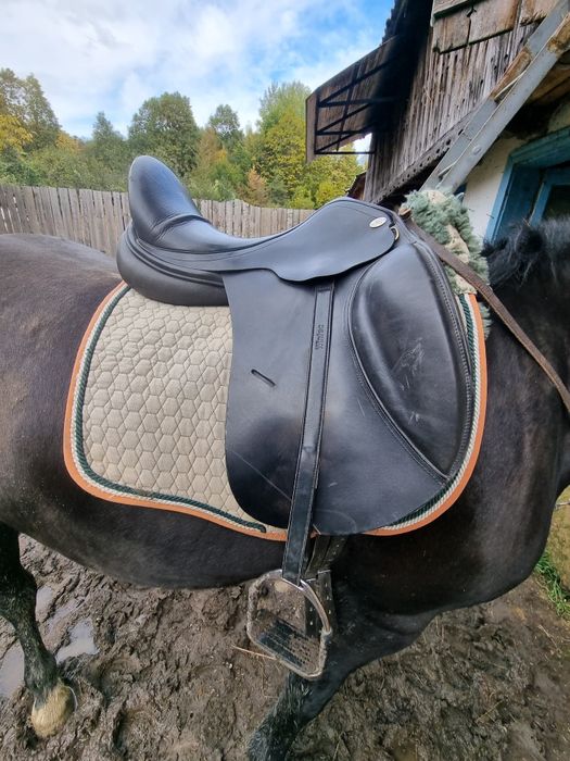 Șa pentru echitatie (dresaj )