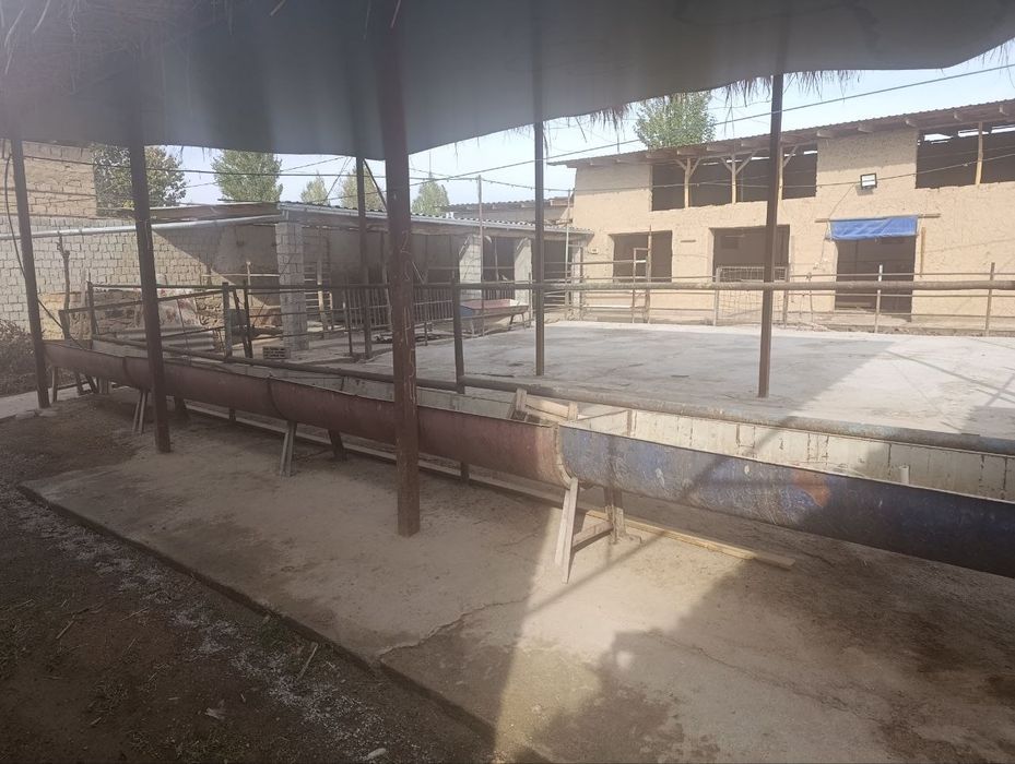 Uy /fema 8 sotix 3 ta xona oshxona