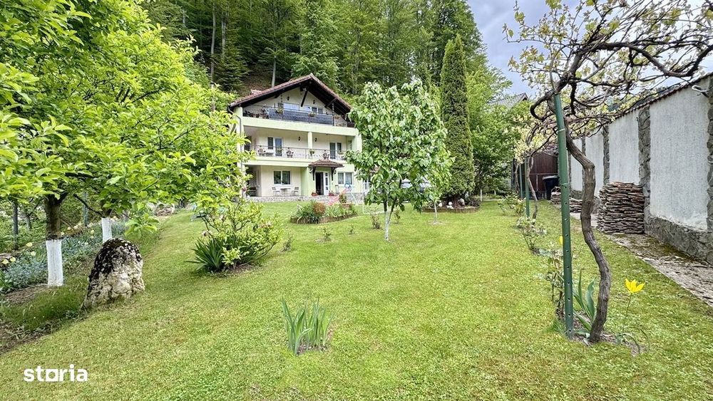 Casa De Vanzare Langa Padure