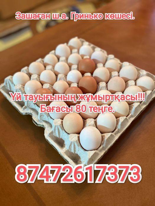 Продам домашние яйца