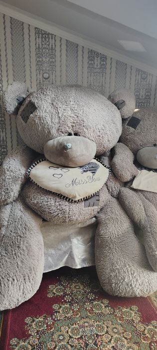 Teddy bear ayiqlari