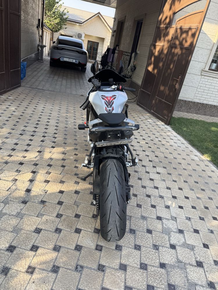 CF Moto 675 sr 2024