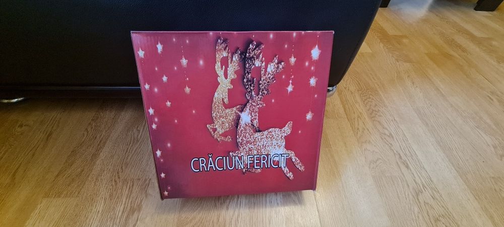 Instalatie pom de iarna Craciun