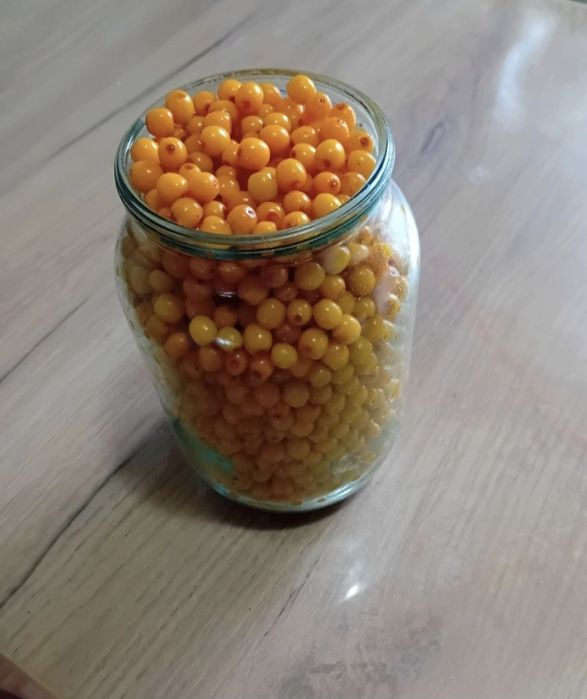 Облепиха Облепиха