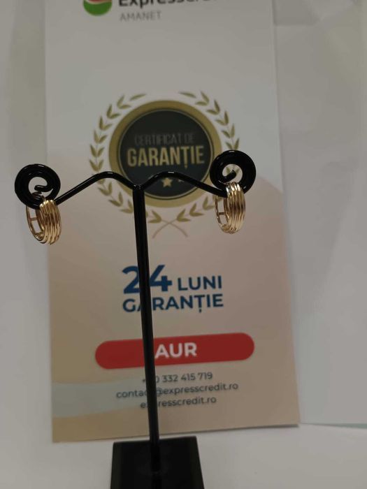 (AG33) Cercei Aur 14K