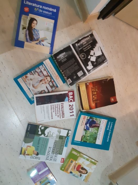 Limba Română- clasele 0-12 (Bac+Evaluarea Națioanală)