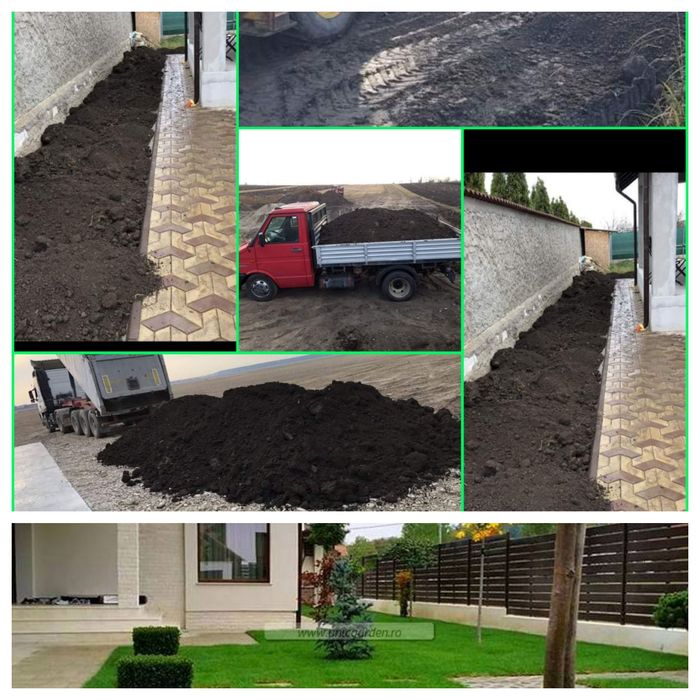 Pământ gazon gradina florii pomii mranita