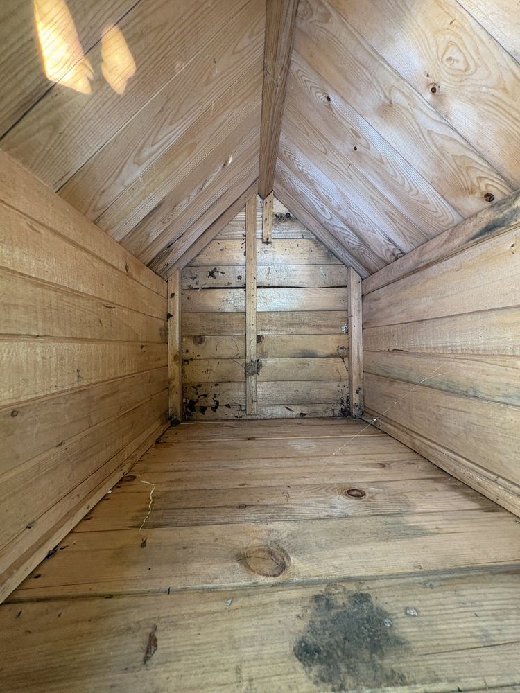 Cușcă de câini nefolosită, a prins pânză de spider man